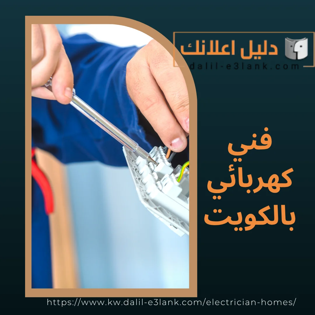 معلومات إضافية عن كهربائية